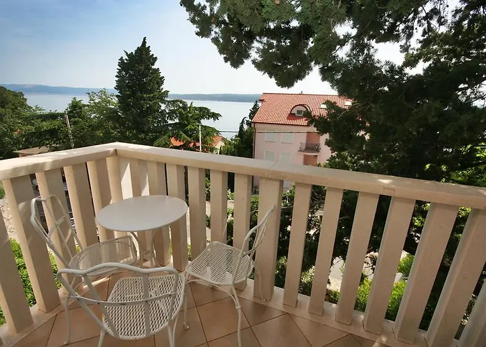 Abalone ツリクヴェニツァ